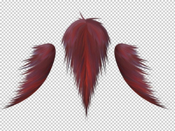 Creation of Fairy: Step 5